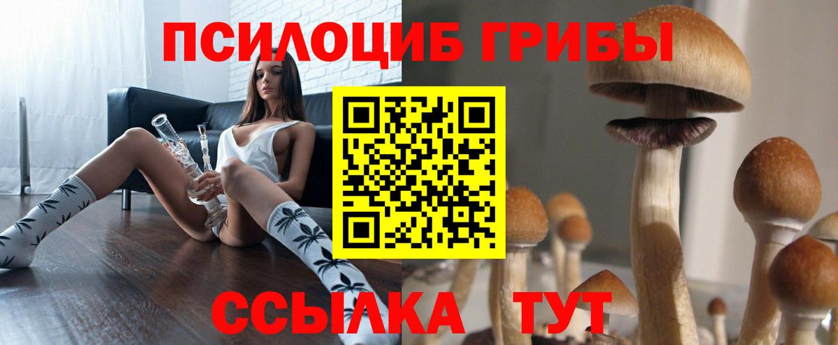 Псилоцибиновые грибы GOLDEN TEACHER  Галлюциногенные грибы Psilocybe  Мыски  Вход с VPN 
